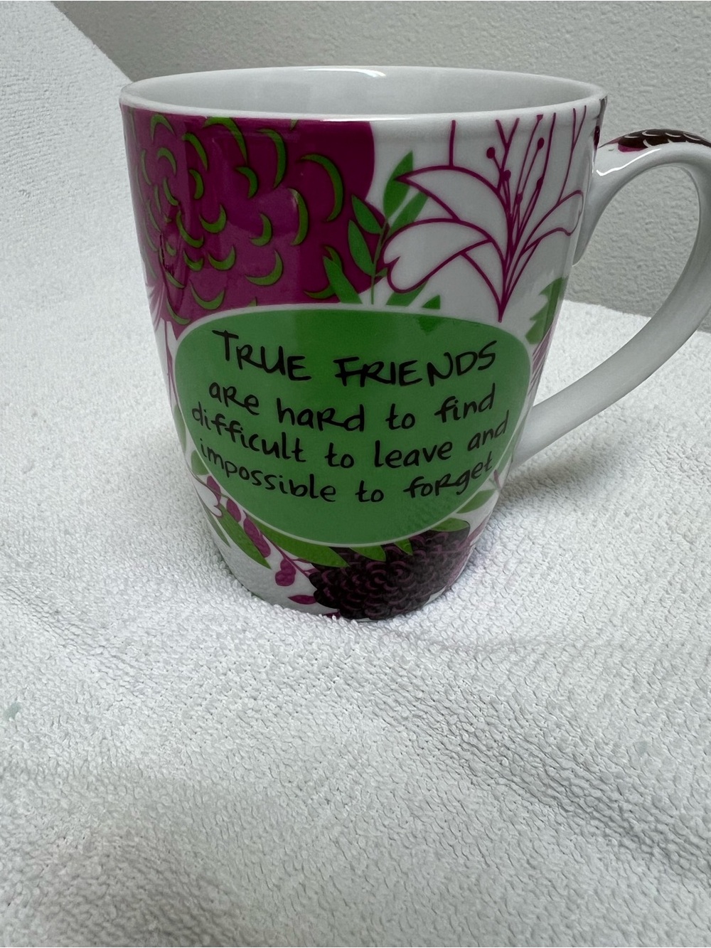Pier 1 Imports True Friends Coffee Mug